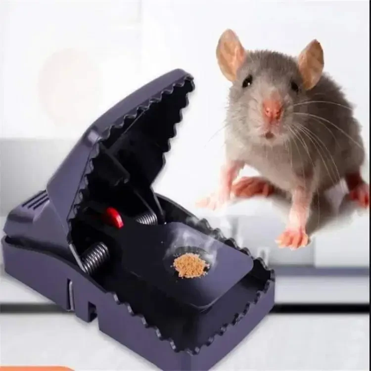 Mouse Catcher 4