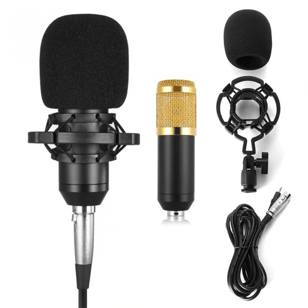 BM800 Microphone High Performance Condenser Microphone for Studio 1