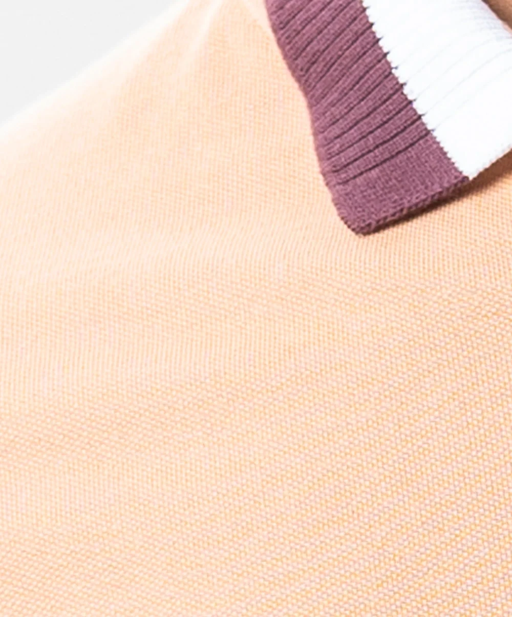 Brown Color Short Sleeve Polo 2