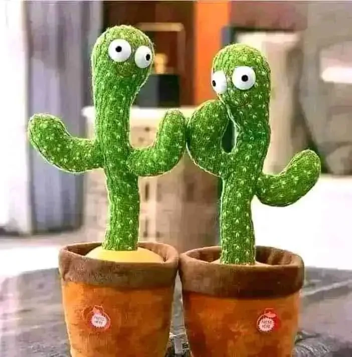 Talking & Singing Cactus Toy 1